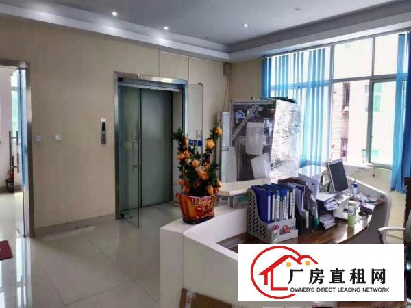  出租石排镇石排城区自己的房子价格便宜