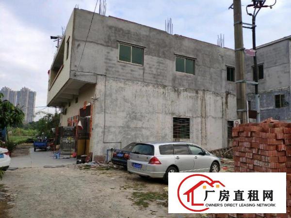  本地人自建房一楼出租