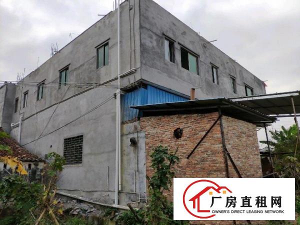  本地人自建房一楼出租