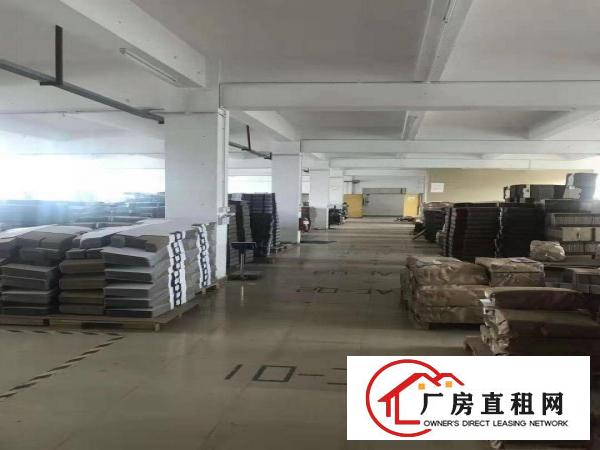  石排镇田寮工业区原房东4500平方米出租