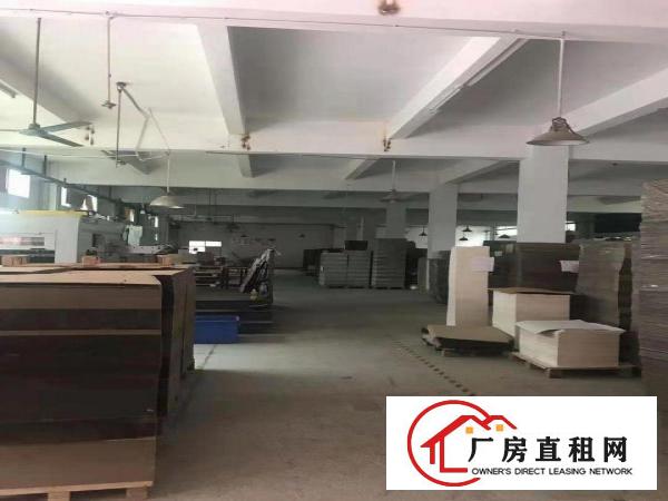  石排镇田寮工业区原房东4500平方米出租