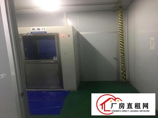  无尘车间、石排大道旁，