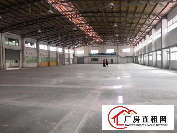  下沙独院钢构厂房2000平方出租