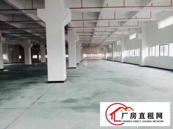  埔心工业区一楼900平方出租