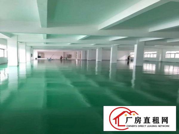  石排水贝工业区二楼有厂房出租
