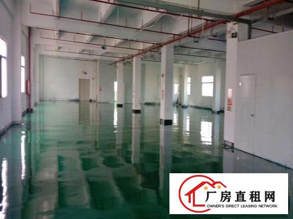  石排水贝工业区二楼有厂房出租