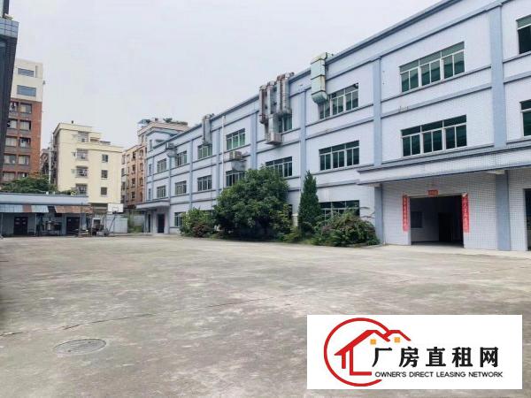  出租石排镇石排城区自己的房子价格便宜