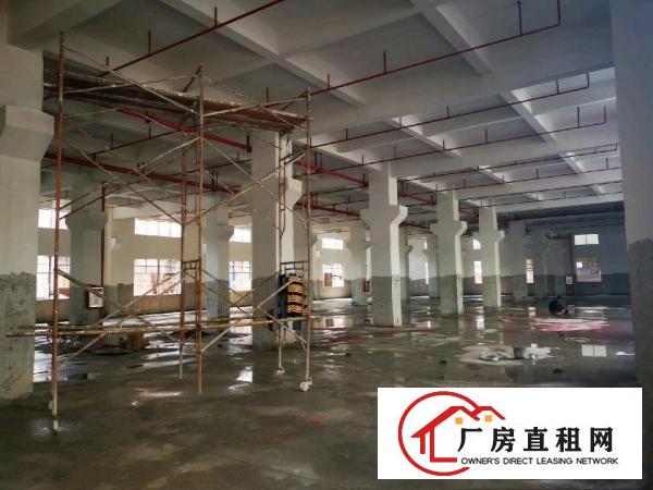  石排福隆第二工业区三路全新工业厂房