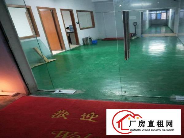  原房东独门独院厂房出租