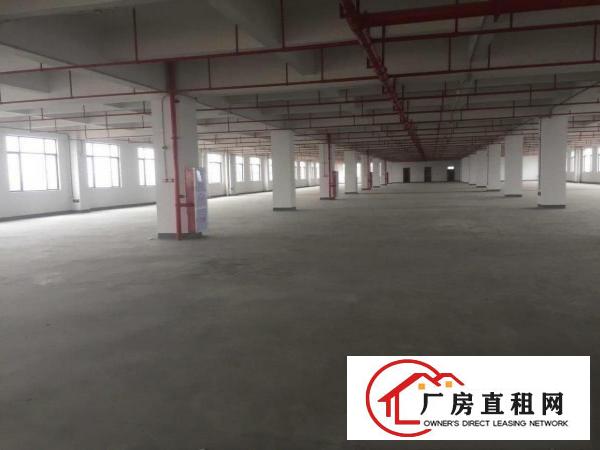  石排镇无公摊工业园区