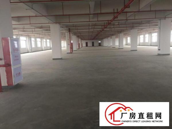  石排镇无公摊工业园区