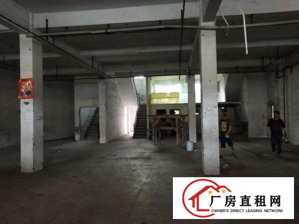  私人放租，直接業主，四個鋪面，兩層連天臺