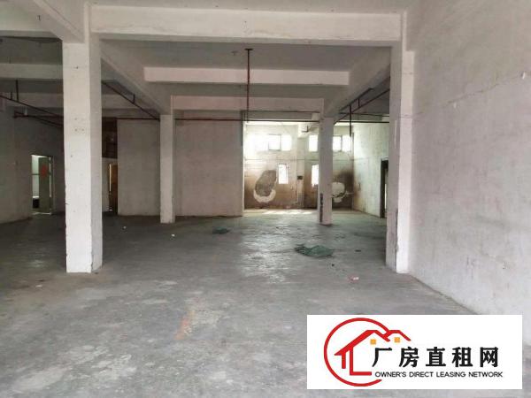  私人放租，直接業主，四個鋪面，兩層連天臺