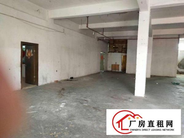  私人放租，直接業主，四個鋪面，兩層連天臺