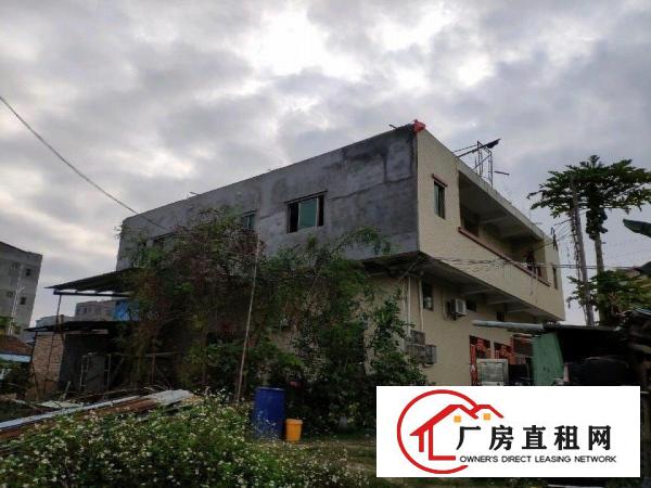  宅基地自建厂房一楼出租
