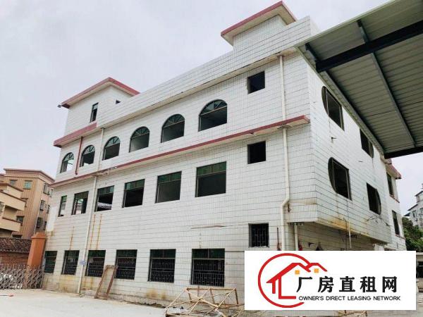  东莞石排镇厂房招租，单层多层厂房，宿舍厂房出租
