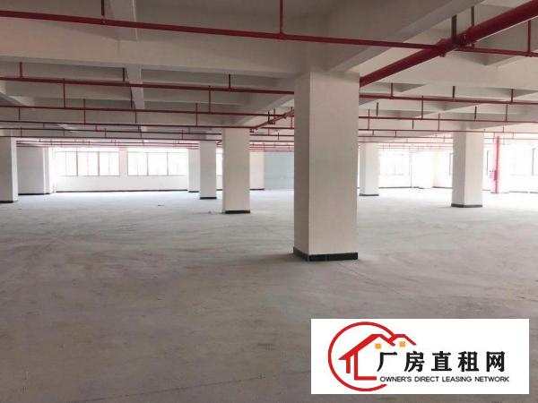  石排现有厂房2000出租，价格15块