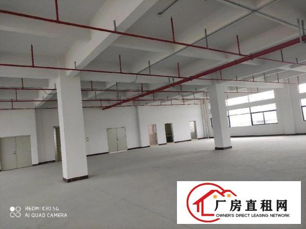  全新标准厂房招租啦！