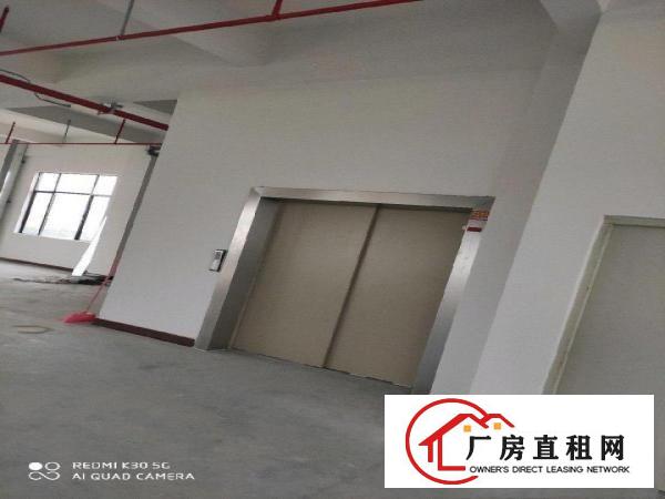  全新标准厂房招租啦！