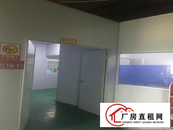  石排无尘车间，水电齐全，4楼，电梯