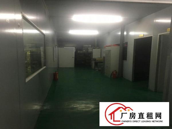  石排无尘车间，水电齐全，4楼，电梯
