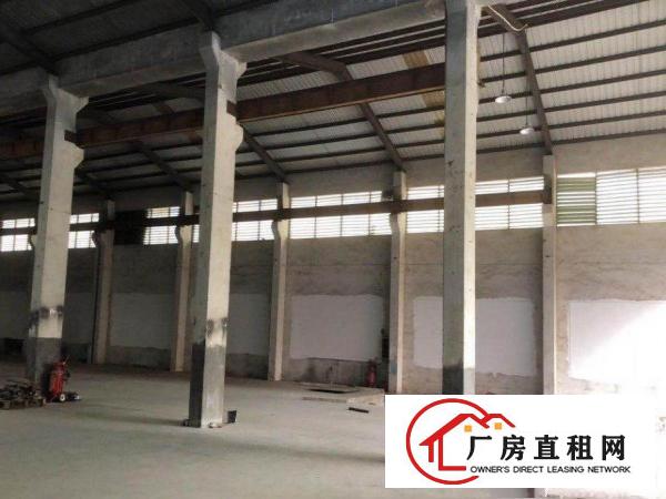  新赤坎路原祥瑞纸箱厂房出租
