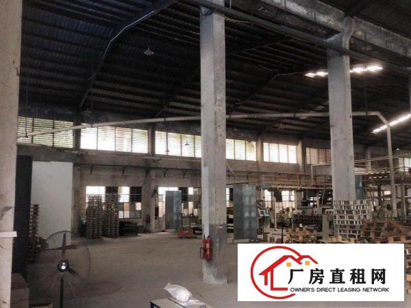  新赤坎路原祥瑞纸箱厂房出租