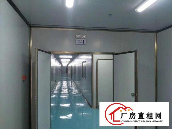  新出原房东8000平米独院带豪装厂房出租