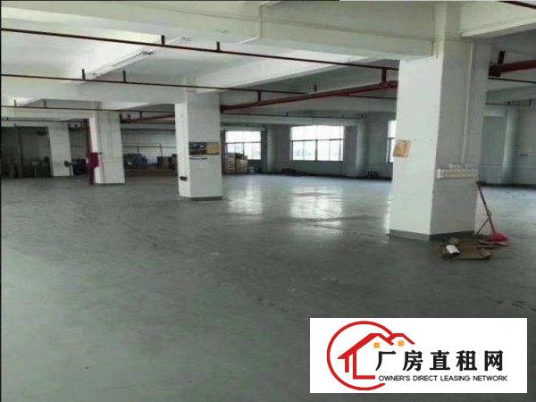  出租石排镇庙边王新空一楼400平米电商贸易非常适合