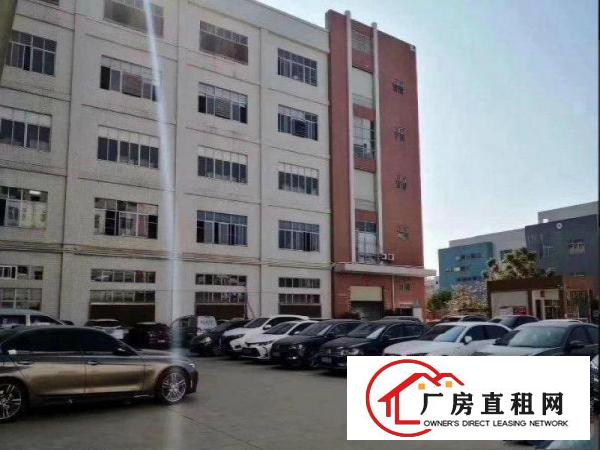 出租石排镇庙边王新空一楼400平米电商贸易非常适合