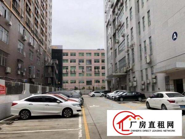  新出楼上1100平米带装修招租厂房出租
