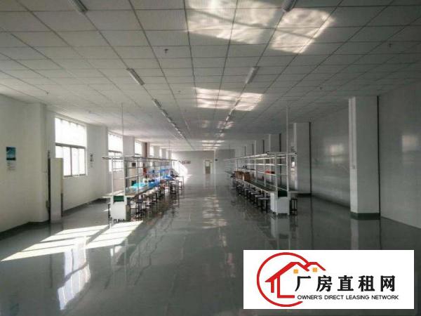  新出楼上1100平米带装修招租厂房出租