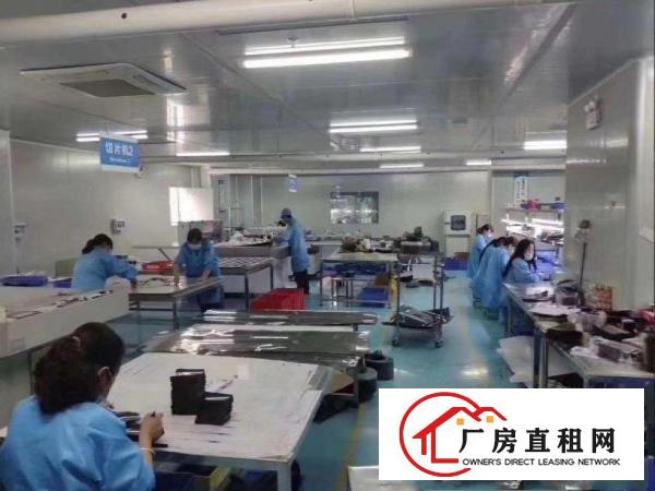 中坑厂房一楼700平米口罩厂！形象好