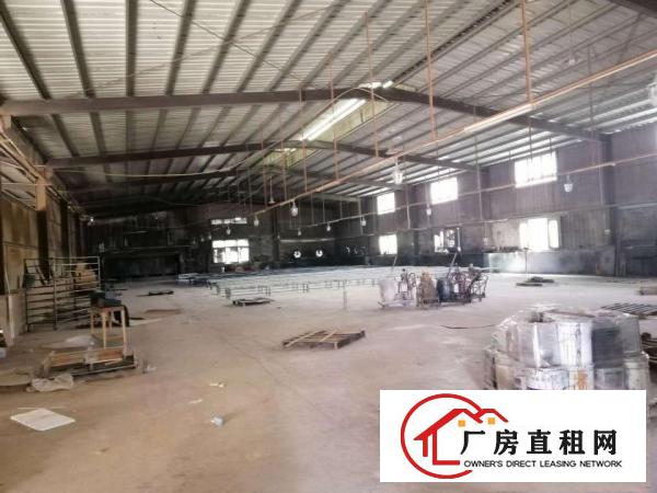  石排原房东单一层钢构厂房出租3000平方，高度7米，空地大