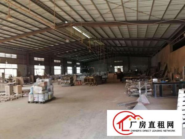  石排原房东单一层钢构厂房出租3000平方，高度7米，空地大
