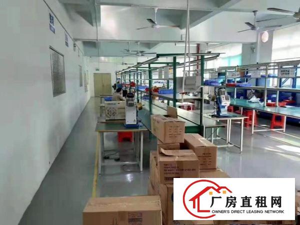  大基工业区标准一楼出租1800平方6.8米带牛腿现成办公室