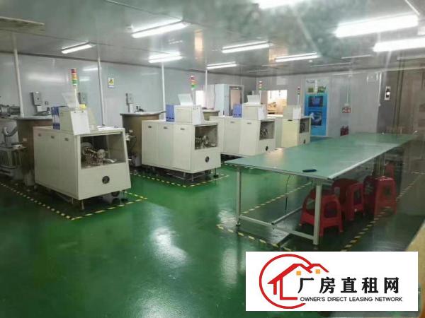  出租石排镇石排城区320平方厂房，精装修原房东无公摊