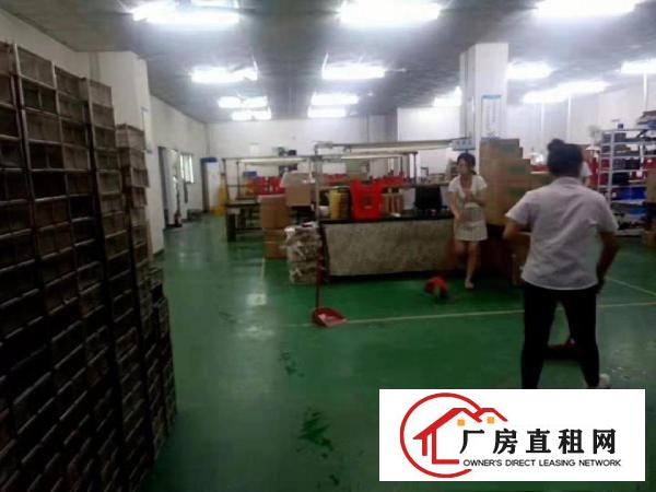  出租石排镇石排城区240平方厂房，精装修水电齐全位置好