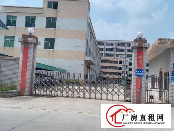  石排平价厂房出租，独立单多层可分租