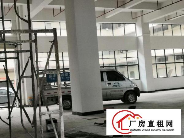 石排平价厂房出租，独立单多层可分租