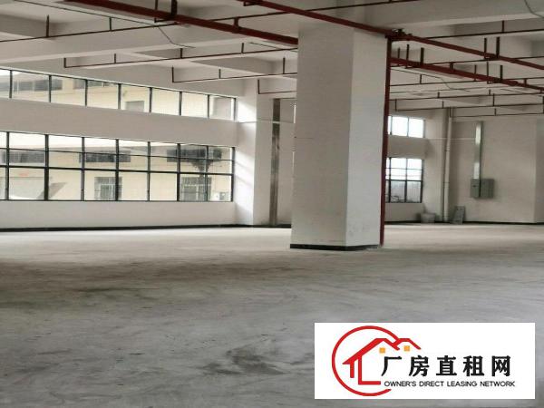 石排平价厂房出租，独立单多层可分租