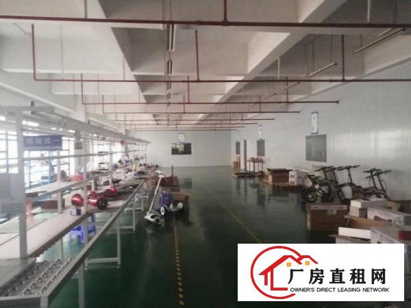  石排中坑原房东独门独院1000平方厂房分租
