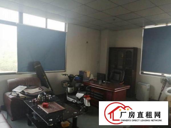  石排中坑原房东独门独院1000平方厂房分租