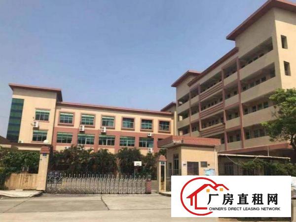  石排中坑原房东独门独院1000平方厂房分租