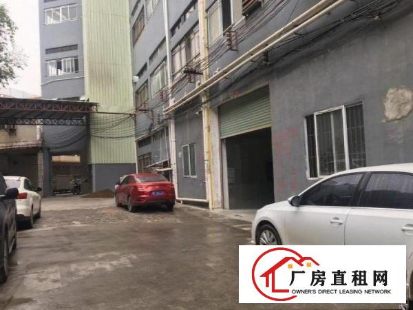  出租石排沙角1000平方，可办环评，周边形象好可办环评