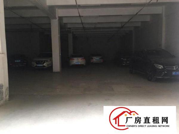  出租石排沙角1000平方，可办环评，周边形象好可办环评