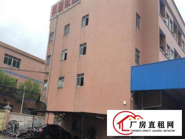  赤坎路原祥瑞纸箱厂房出租