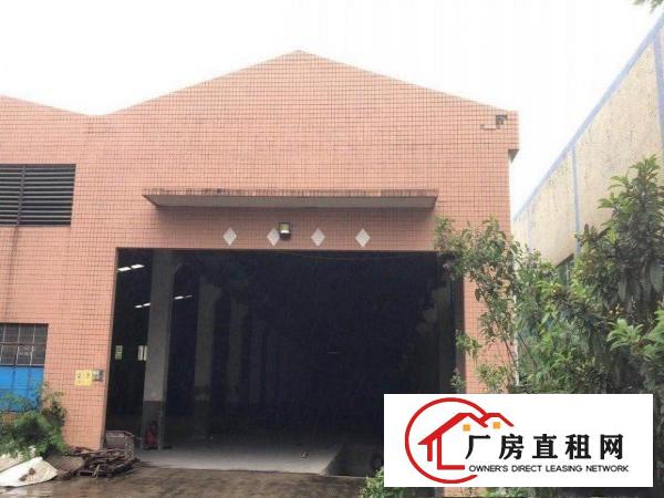  赤坎路原祥瑞纸箱厂房出租