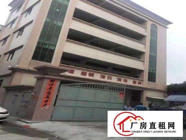  石排下沙原房东标准独院工业厂房3000平方招租（可分租）