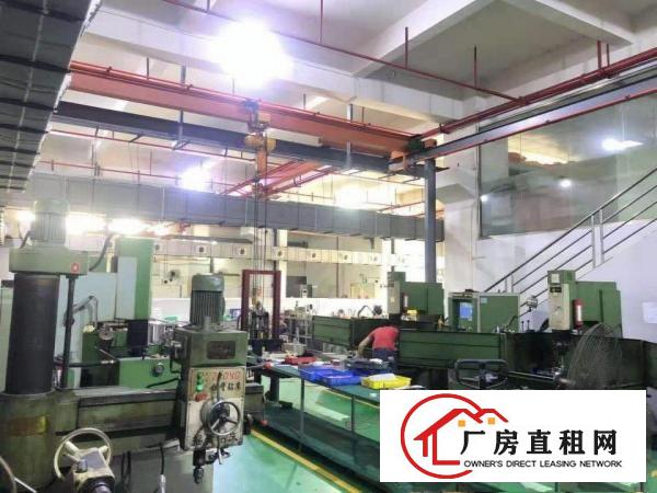  石排下沙原房东标准独院工业厂房3000平方招租（可分租）